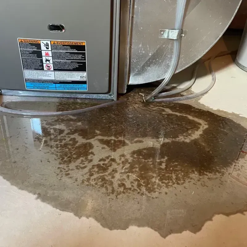 Appliance Leak Cleanup in Stapleton, NY